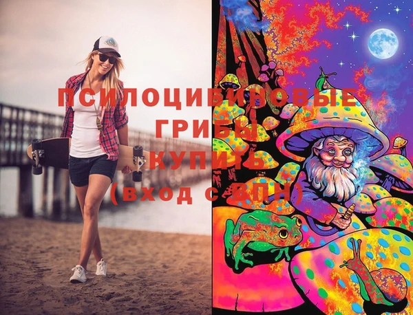 дурь Коряжма